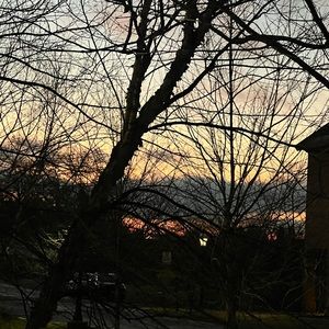 Meet your Posher, Benson